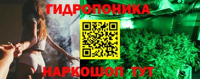 прущие грибы Изобильный