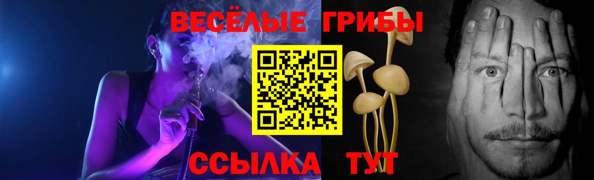 Галлюциногенные грибы Psilocybe Мелеуз